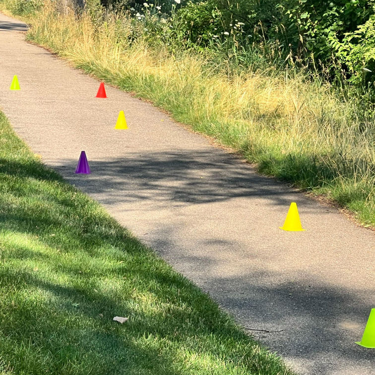 cones on a path